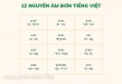 Nguyên âm đơn trong tiếng Việt