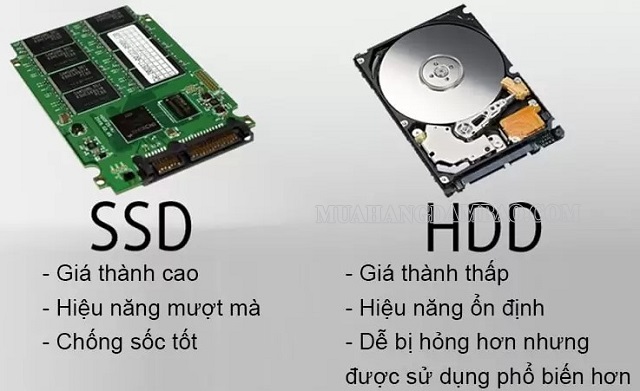 Nên chọn ổ cứng SSD hay HDD cho máy tính và laptop