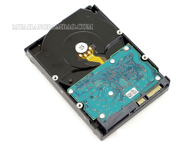 Hình ảnh minh họa ổ cứng HDD trong máy tính bàn và laptop