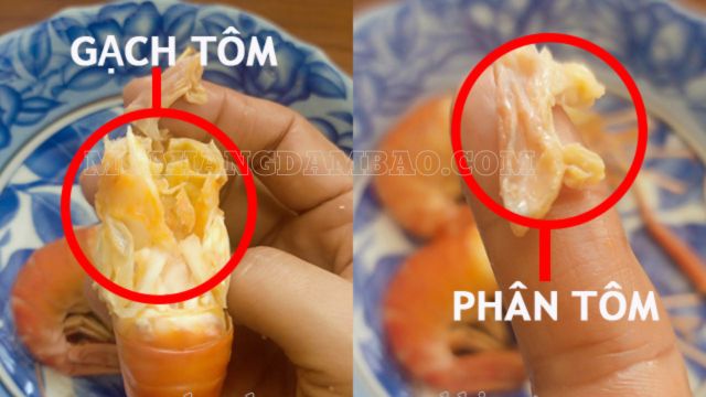 Phân biệt gạch tôm và phân tôm