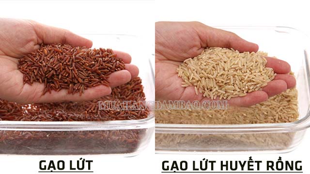 Phân biệt gạo lứt với gạo lứt huyết rồng