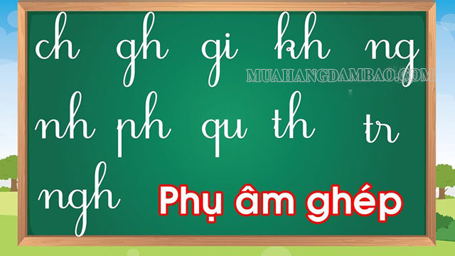 Phụ âm ghép trong tiếng Việt