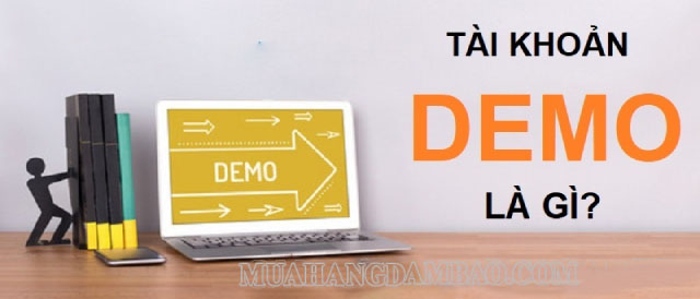 Tài khoản Demo là những tài khoản được cung cấp nhờ các giao dịch trực tuyến