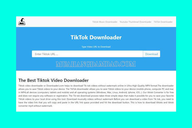 Tải video Tiktok bằng Downloaderi