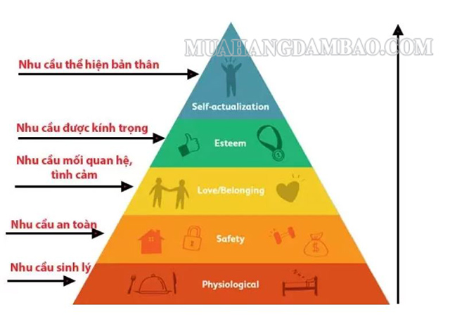 Tháp nhu cầu của Maslow