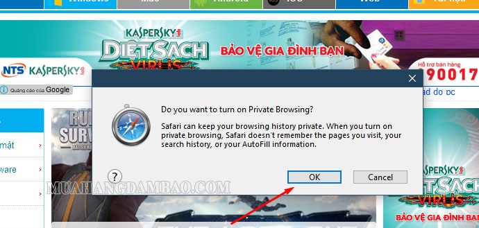 Chọn “OK” để bật trình duyệt ẩn danh trên Safari